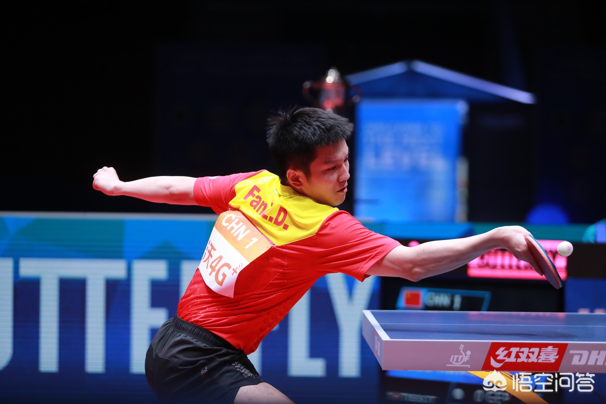 尤其是在 尤其是在